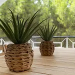 #335 Cozy Retreat Peaceful * Guia (Faro)